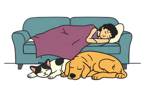 Minimal illustration of a person napping on a teal couch under a dusty plum blanket, head resting on a cream pillow. A black-and-white cat with light pink inner ears and a golden-brown dog sleep curled up on the floor in front of the couch.