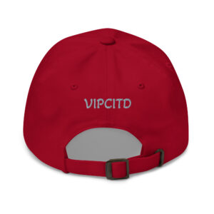 Keep Chasing Sunrises - Dad hat - Image 12