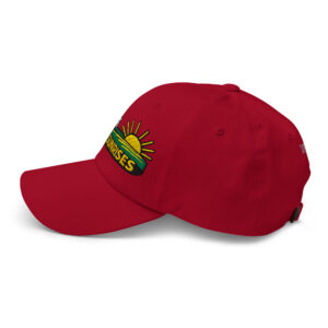 Keep Chasing Sunrises - Dad hat - Image 20